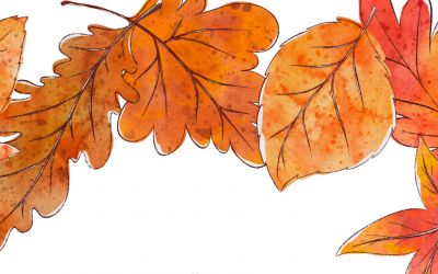 Auf dem Bild sieht man bunte Herbstblätter.