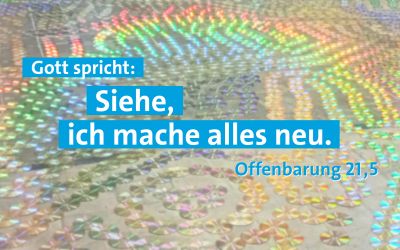 Auf dem Bild sieht man bunte CD-Scheiben