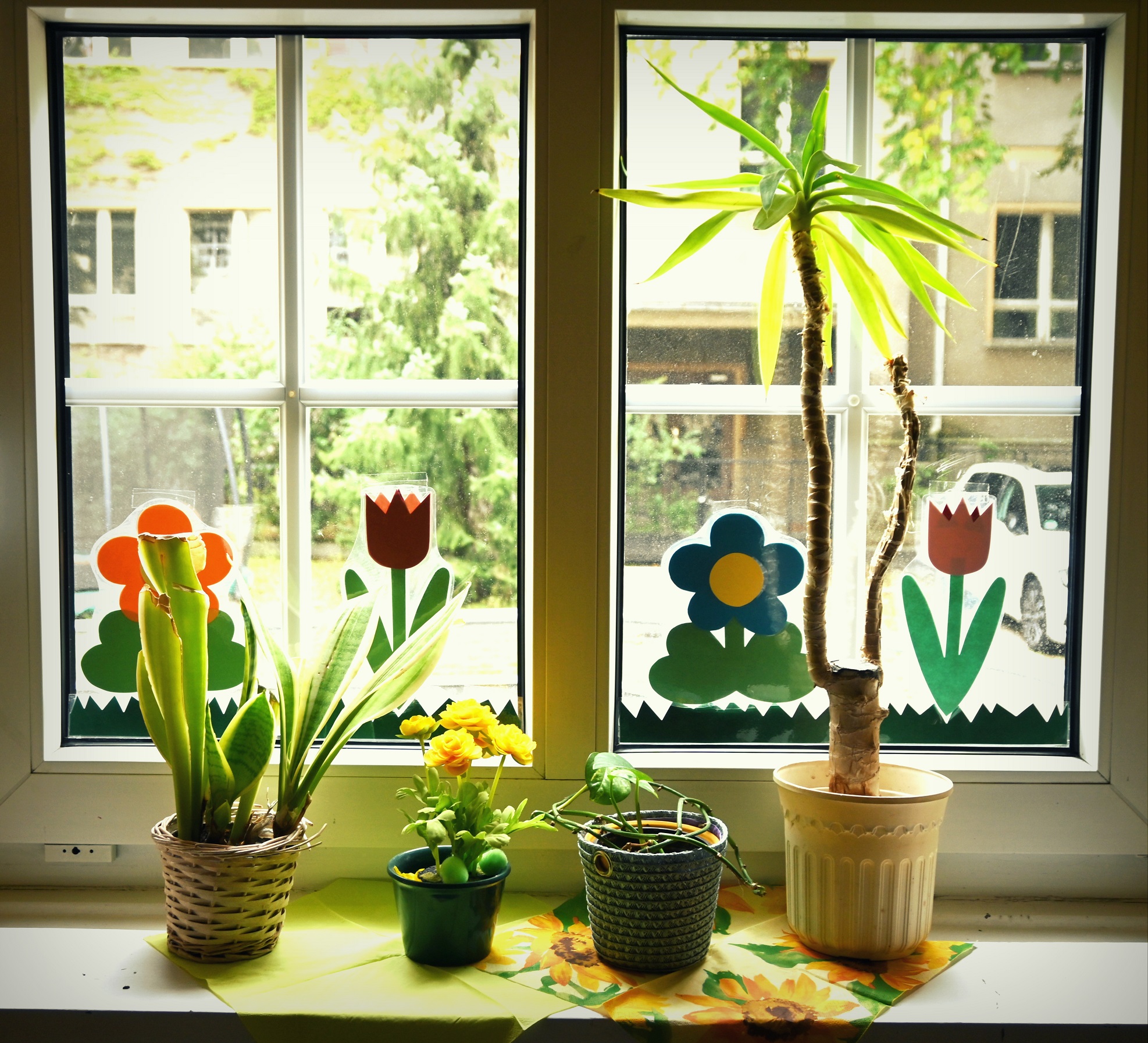 Blumen auf dem Fensterbrett